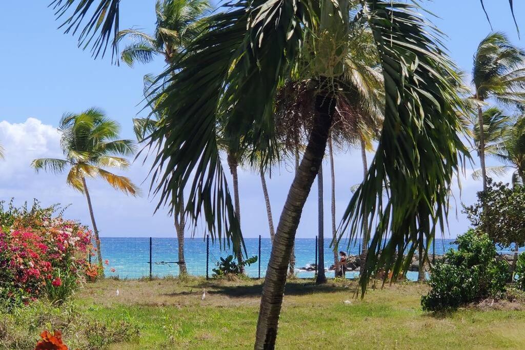 Parfum Des Iles - Vue Mer, Plage A 30M Et Piscine En Option Le Gosier  Exterior foto