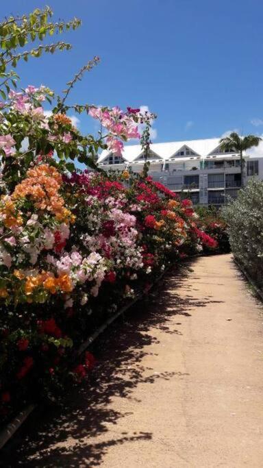 Parfum Des Iles - Vue Mer, Plage A 30M Et Piscine En Option Le Gosier  Exterior foto