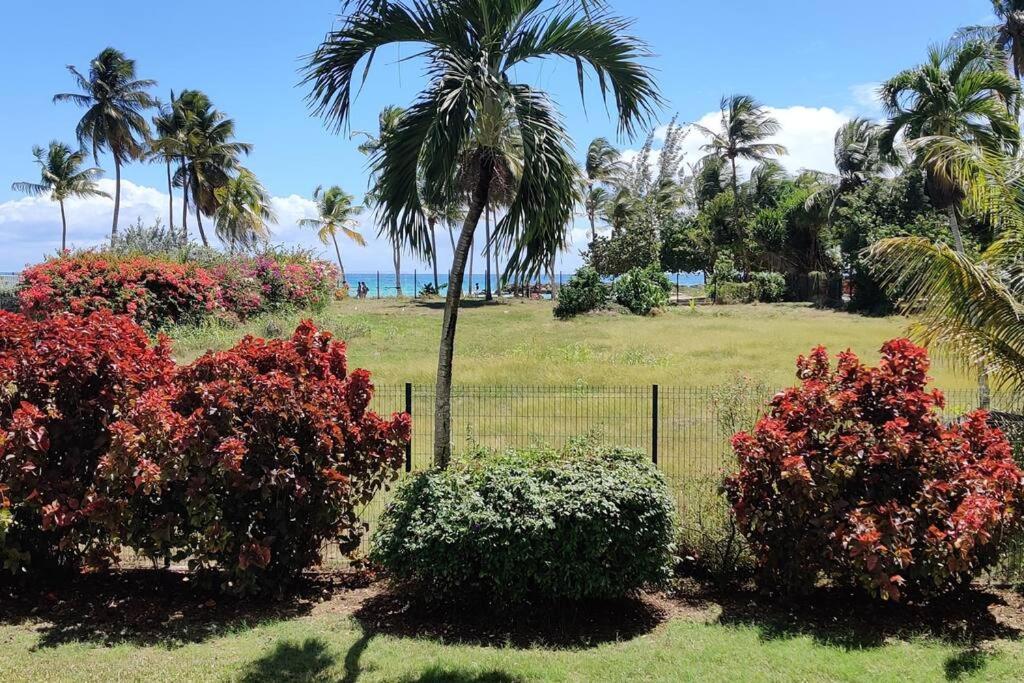 Parfum Des Iles - Vue Mer, Plage A 30M Et Piscine En Option Le Gosier  Exterior foto