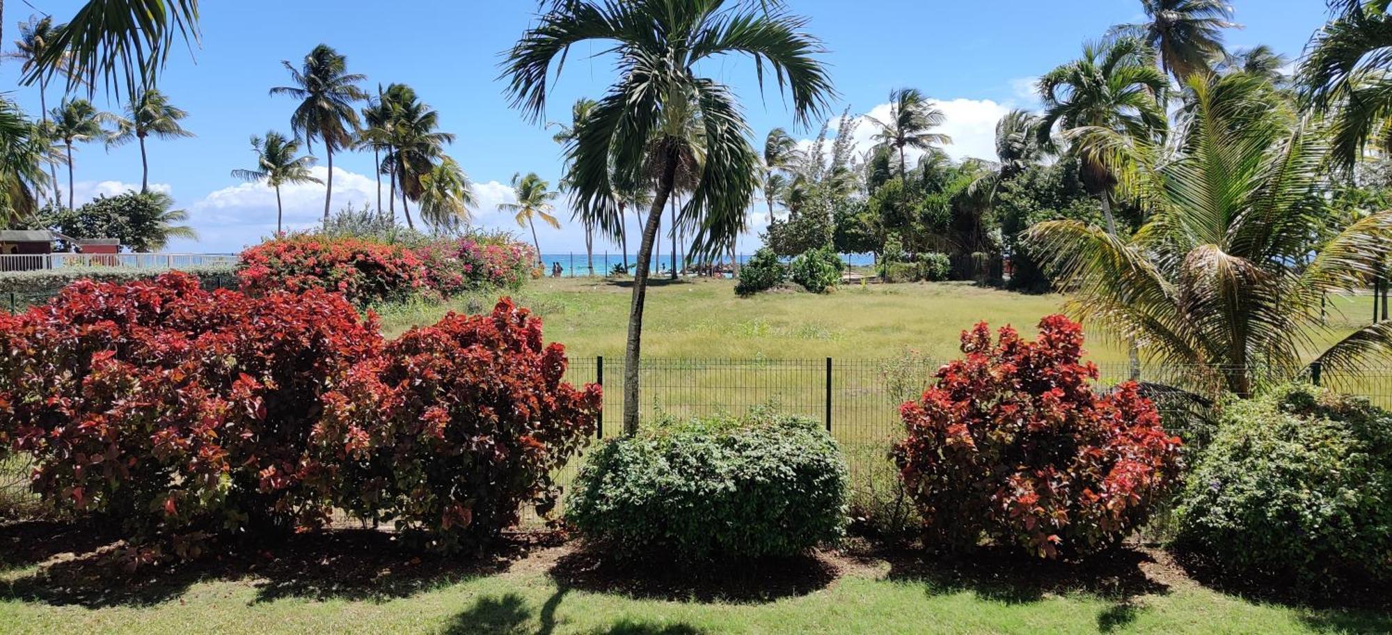 Parfum Des Iles - Vue Mer, Plage A 30M Et Piscine En Option Le Gosier  Exterior foto